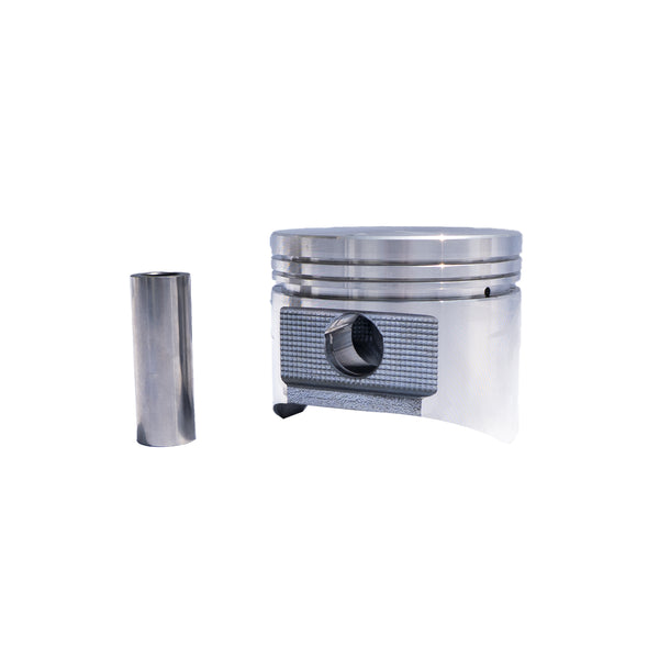 PISTON SET W/PIN STD